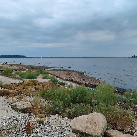 Near Loddenhoj Åbenrå